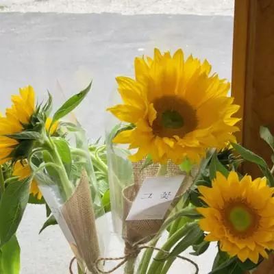 江南体育app在线下载